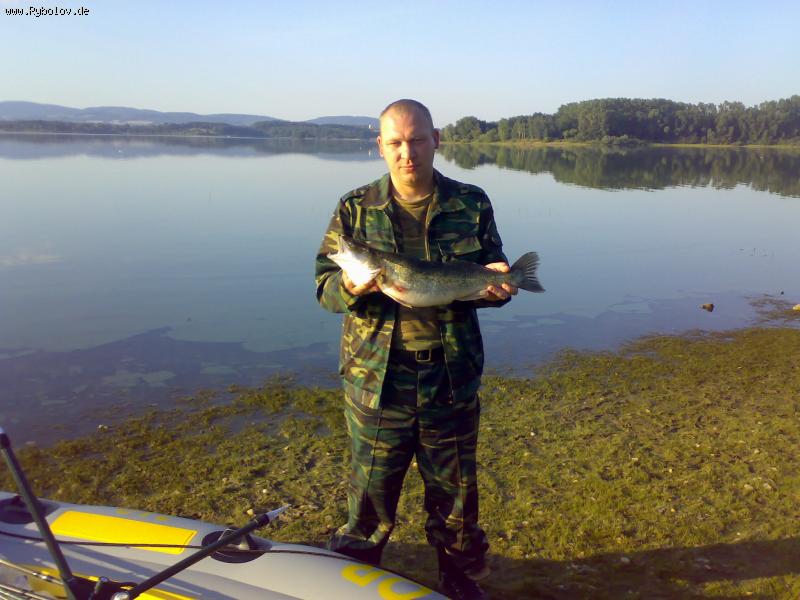 --������ ����� !!!!! - ������� (����������)