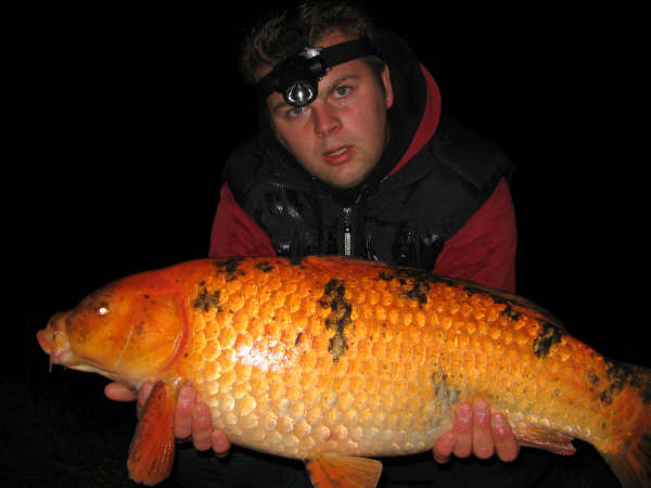 --����� ��� ������ - ������� (����������)