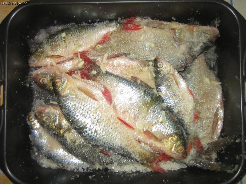 --�������� ��������� � �����!!! - ������� (����������)