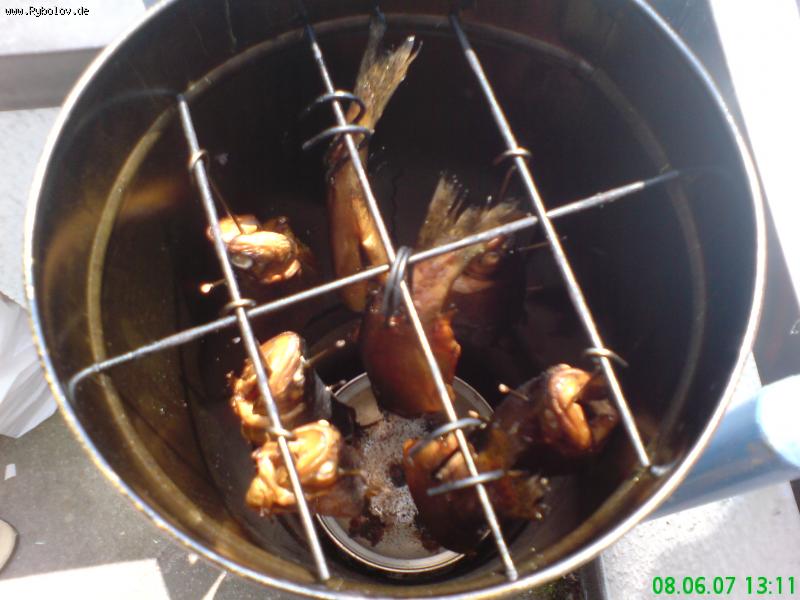 --forel - ������� (����������)