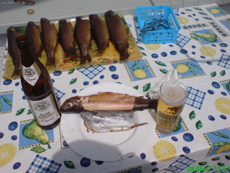 --forel - ������� (����������)
