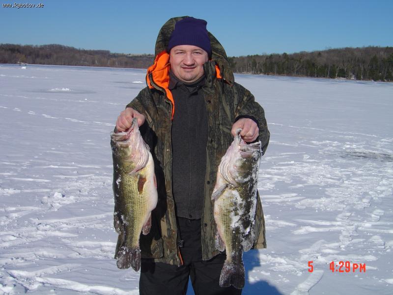 --Bass -  ()