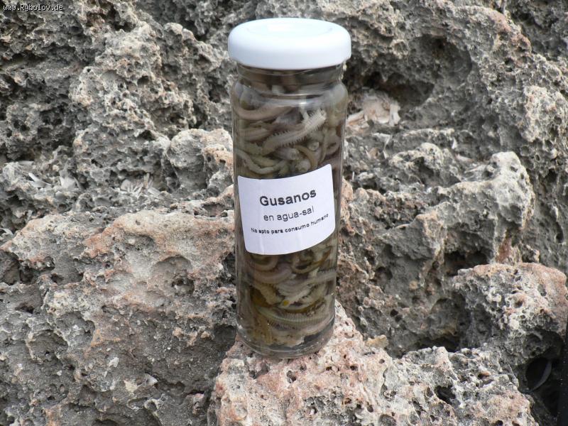 --"�������" �� ������� - ������� (����������)