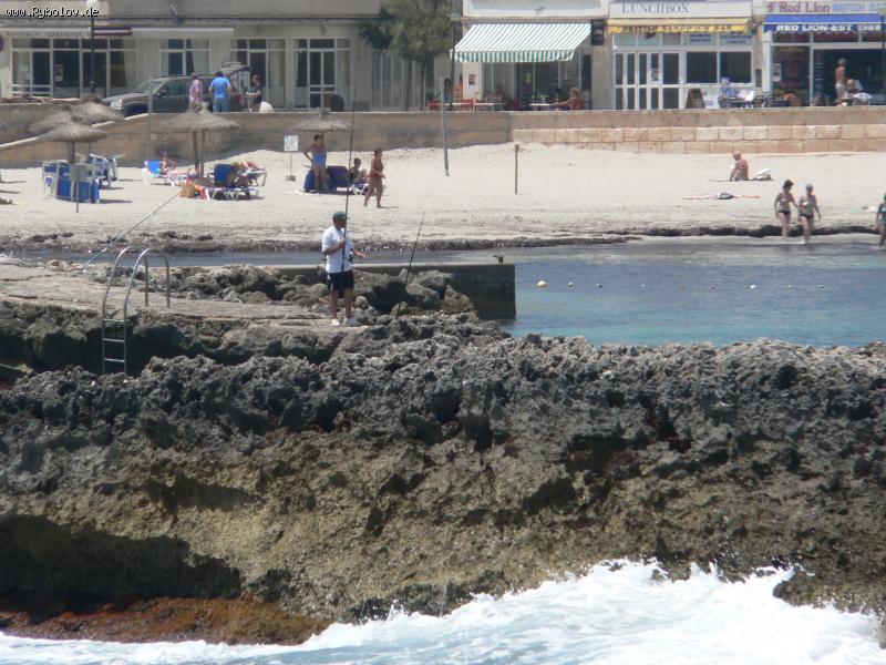 --"�������" �� ������� - ������� (����������)