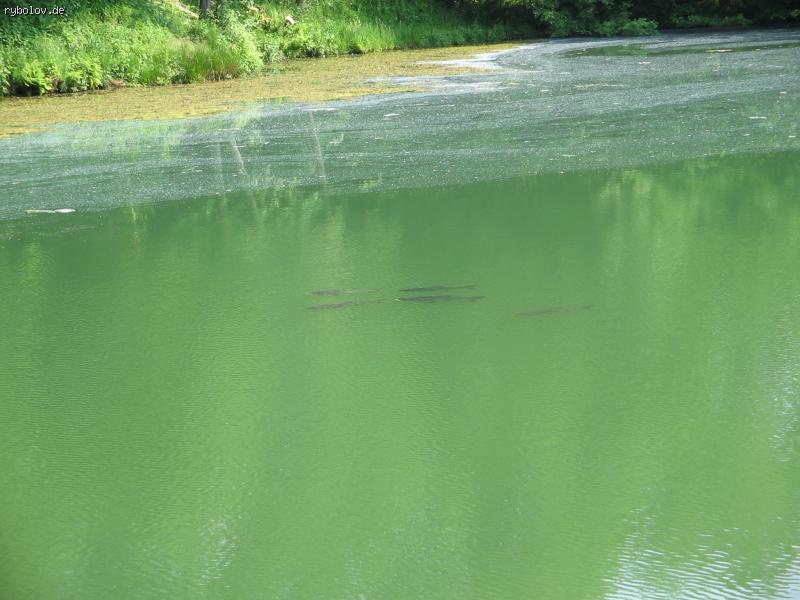 --������� - ������� (����������)