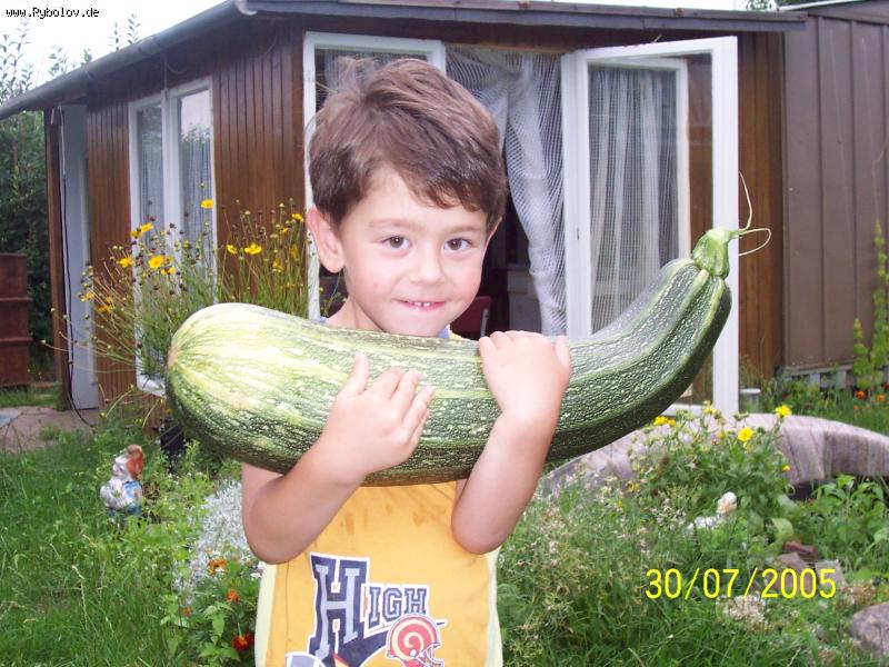 --����� �� ������ �� ����... - ������� (����������)