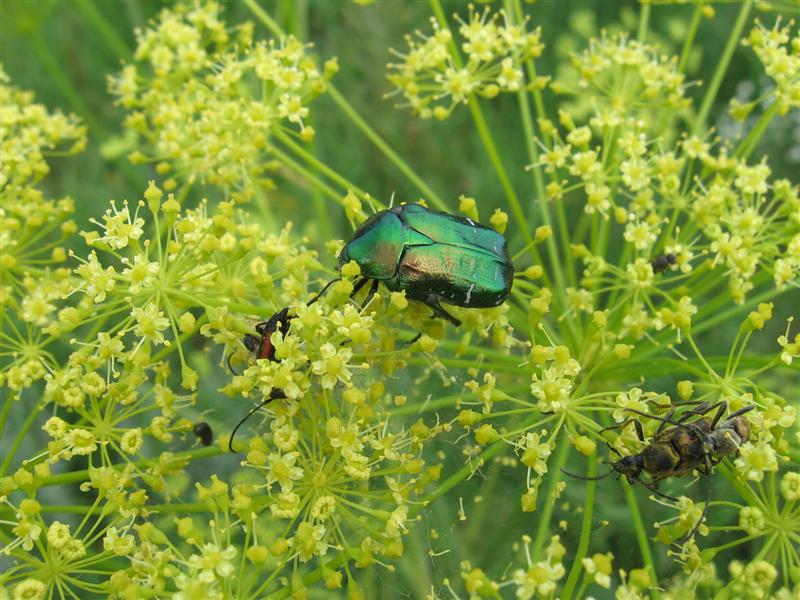 --�� ���������� �������. - ������� (����������)