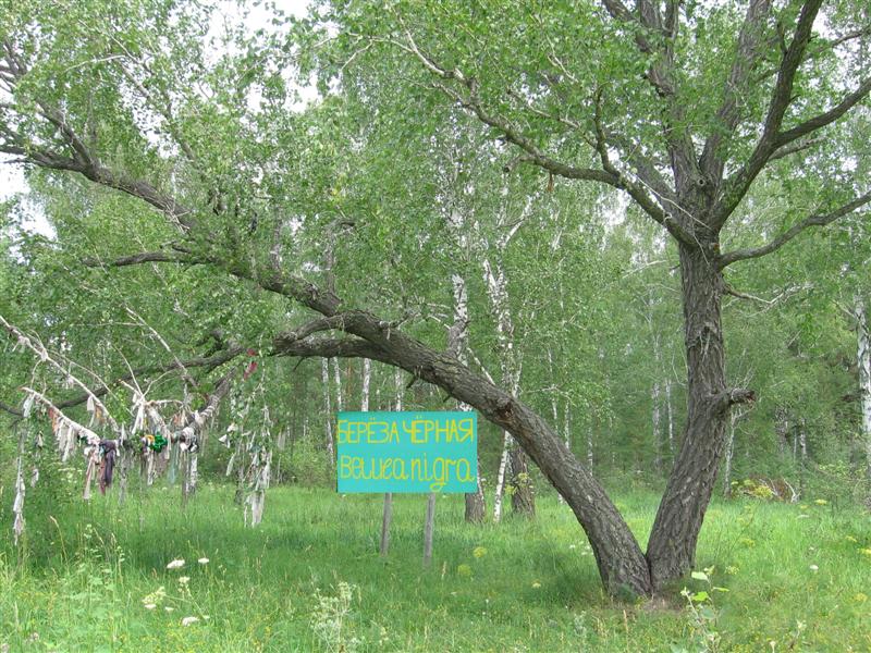 --�� ���������� �������. - ������� (����������)