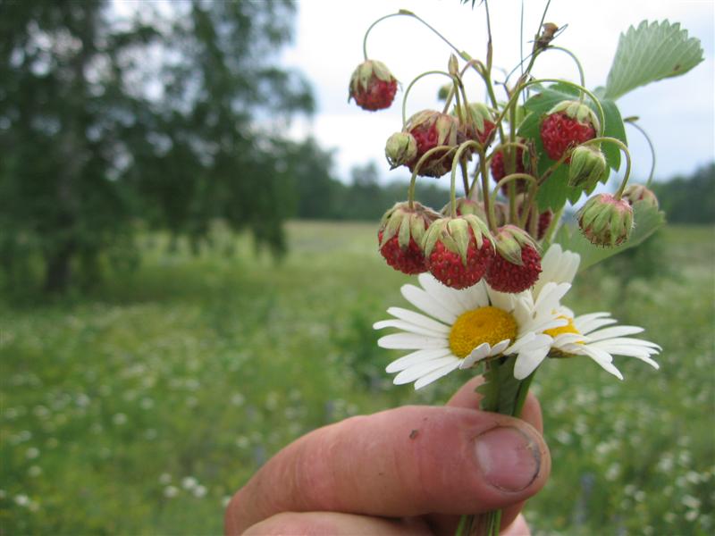 --�� ���������� �������. - ������� (����������)