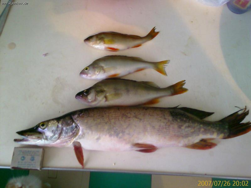 --������ ����� �� ��� ���� - ������� (����������)