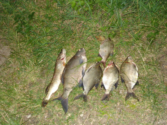 --��� ��������� ����. - ������� (����������)