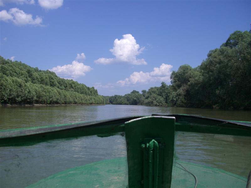 --�� ���������� �������. - ������� (����������)