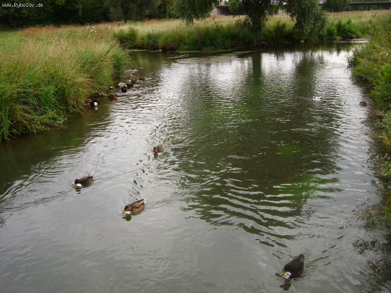 --��� �� ������ ���� �������, �� � ������ - ������� (����������)