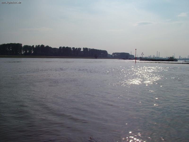 --������� �� �����. - ������� (����������)