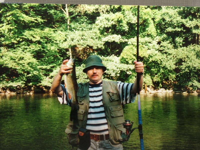 --������ ����� � �������� 1995�. - ������� (����������)