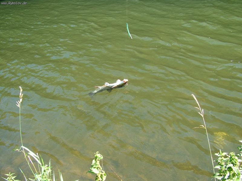 --���� , �������� �������... - ������� (����������)