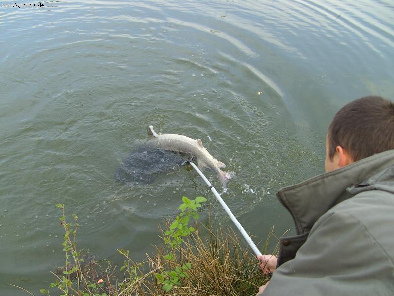 --������� - ������� (����������)