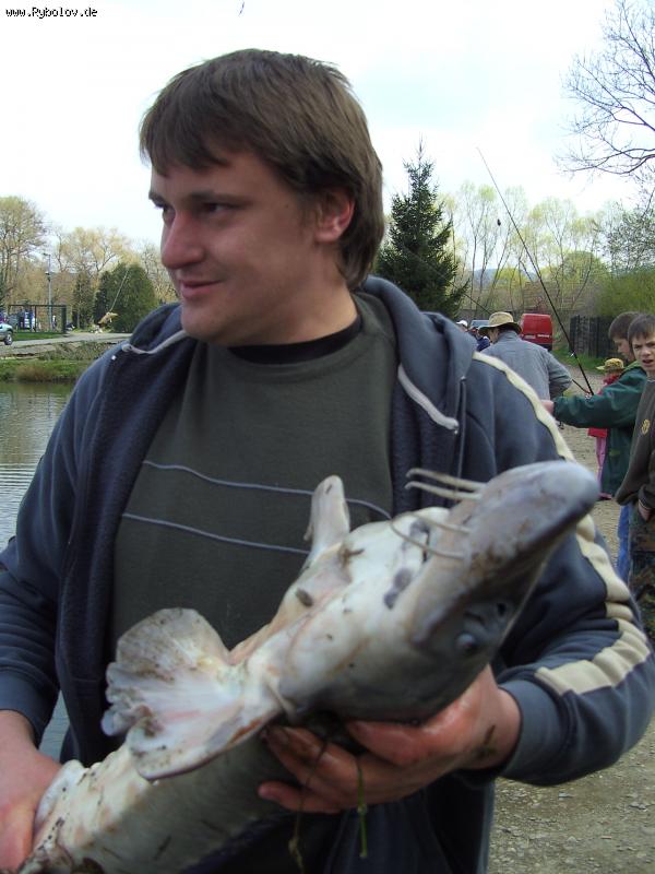 --��� ��� ����� - ������� (����������)