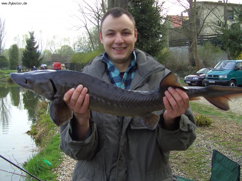 --    -   -5,1 -  ()