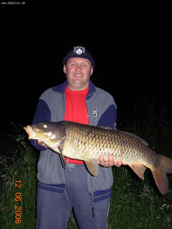 --���� � � ���� ����. - ������� (����������)