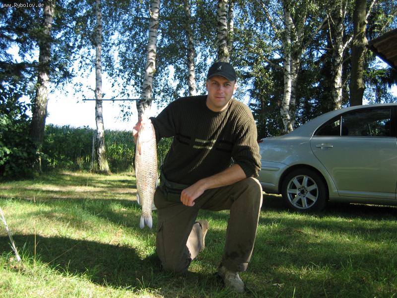 --Döbel (Aitel) - ������� - ������� (����������)