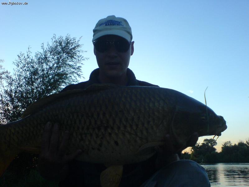 --���� ��� ��������� ���� - ������� (����������)