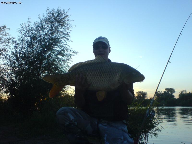 --���� ��� ��������� ���� - ������� (����������)