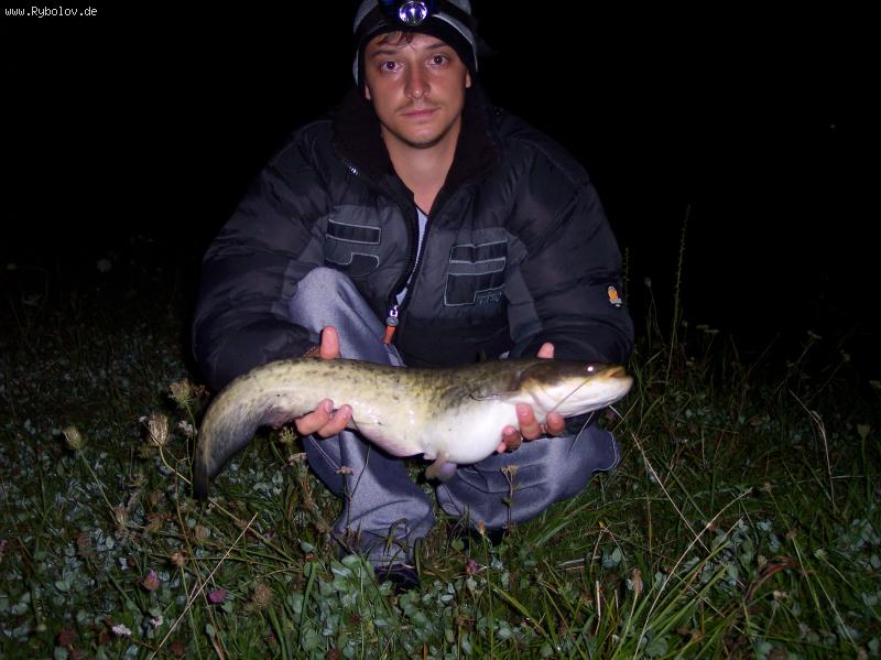 --��������� ����� 65�� - ������� (����������)