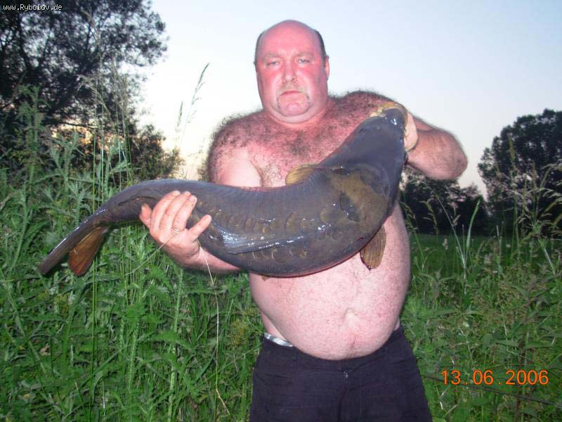 --���������� �����...... - ������� (����������)