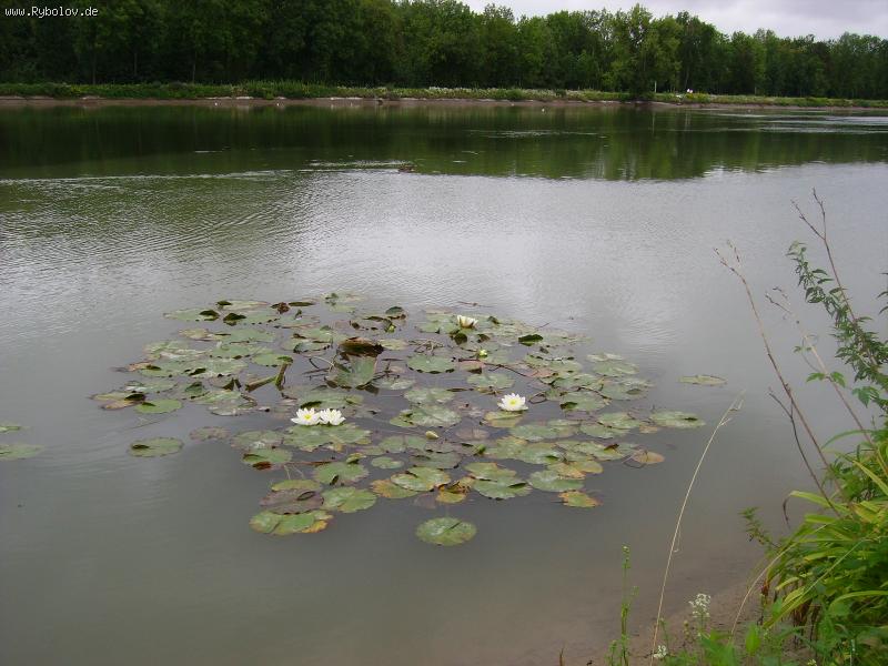 --���� - ������� (����������)