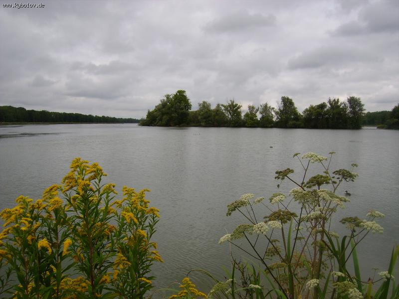 --� ������� ��� ������ ������. - ������� (����������)