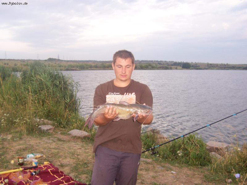 --���� � ����� - ������� (����������)