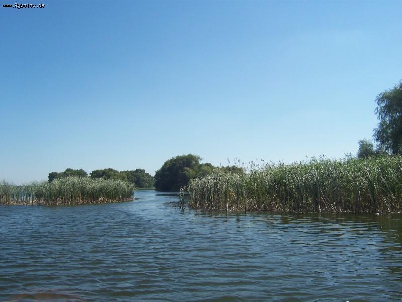 --����� - ������� (����������)