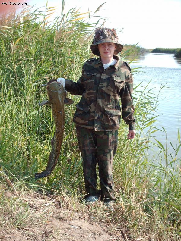 --����� - ������� (����������)