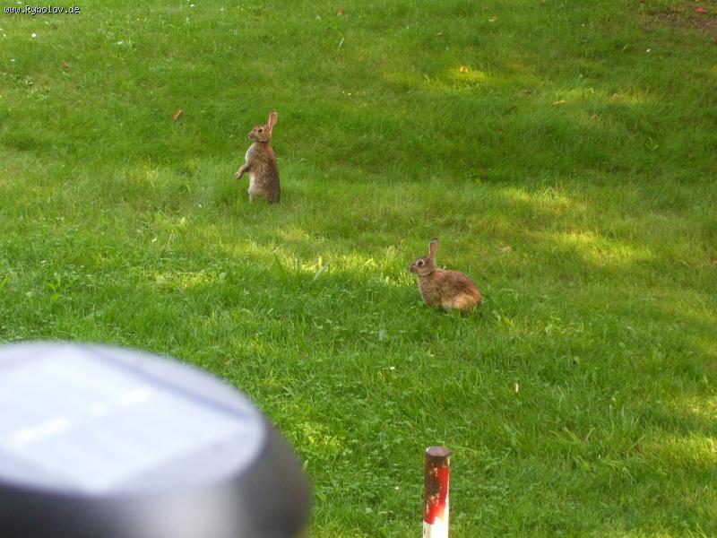 --��� � �������.. - ������� (����������)