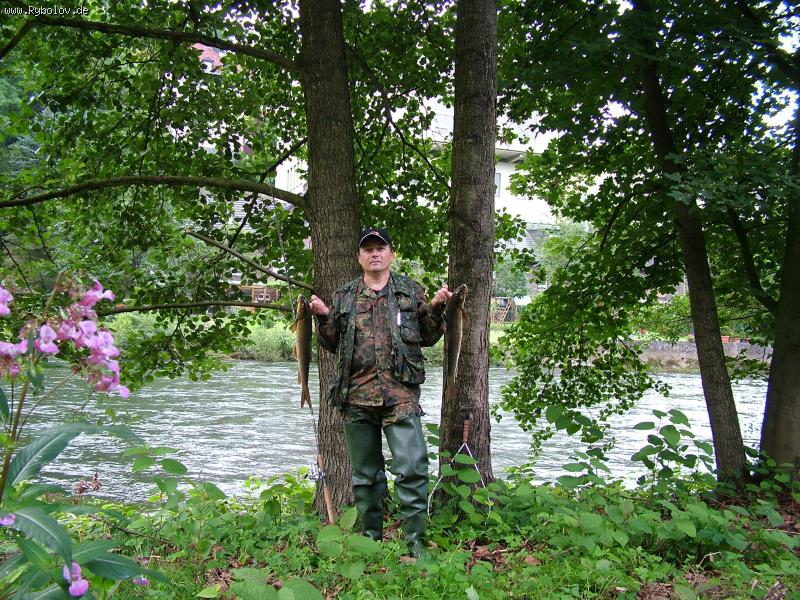 --���� �� ������� ������... - ������� (����������)