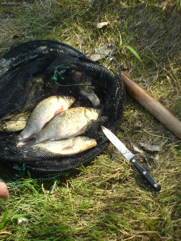 --�������� - ������� (����������)