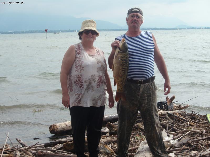 --�������� ����� �� �������� - ������� (����������)