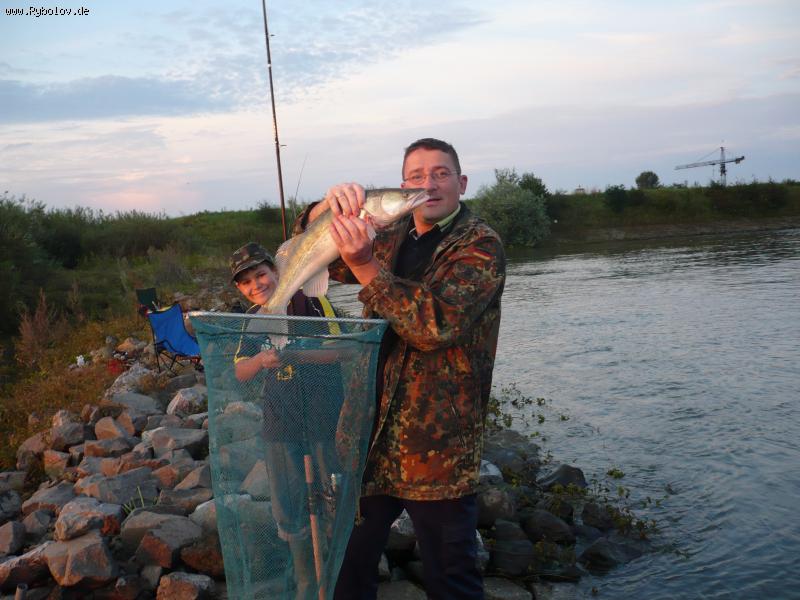 --������������ ������ - ������� (����������)