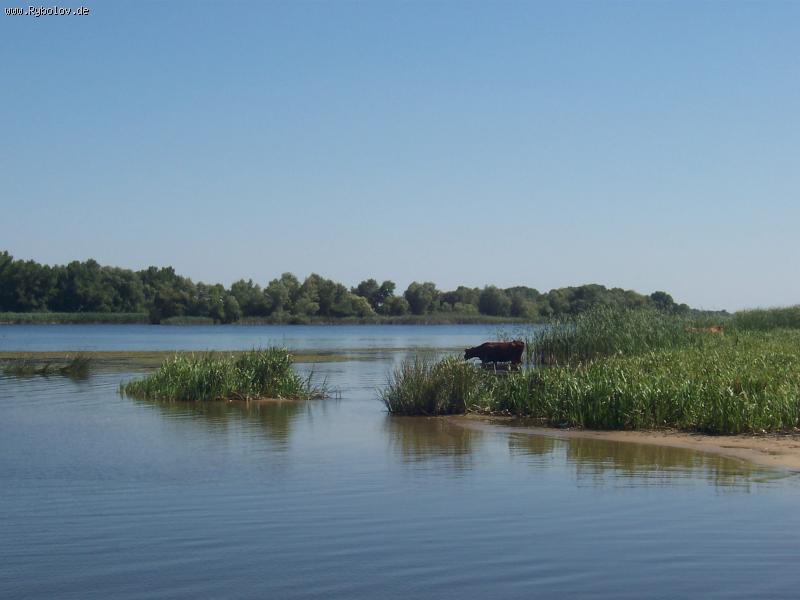 --������ - ������� (����������)