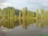  Saale -  ()