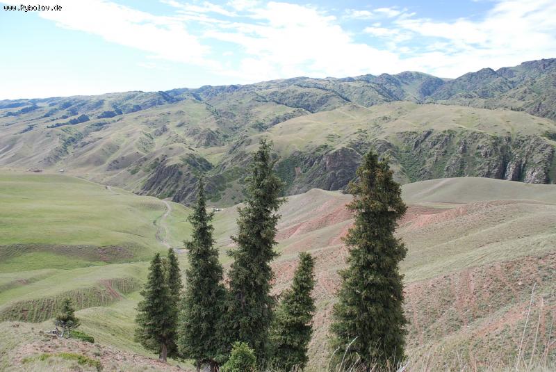 --������ - ������� (����������)