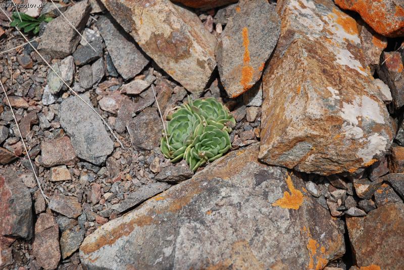 --������ - ������� (����������)