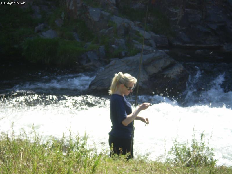 --������ - ������� (����������)