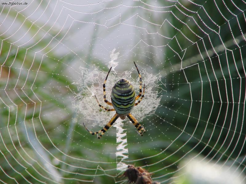 --соседи - рыбалка (фотоальбом)