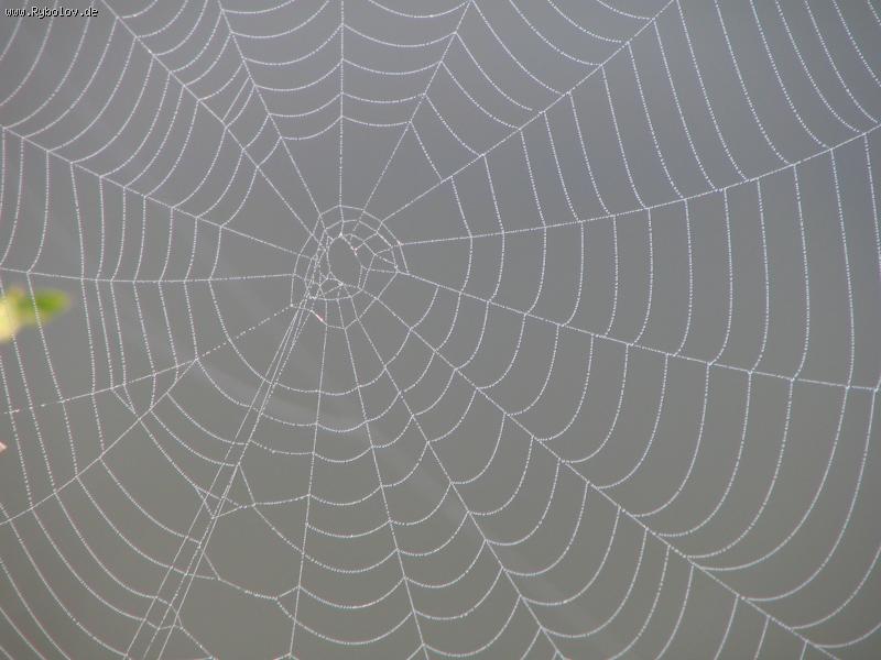 --соседский дом - рыбалка (фотоальбом)