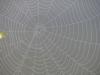 ��������� ��� - ������� (����������)