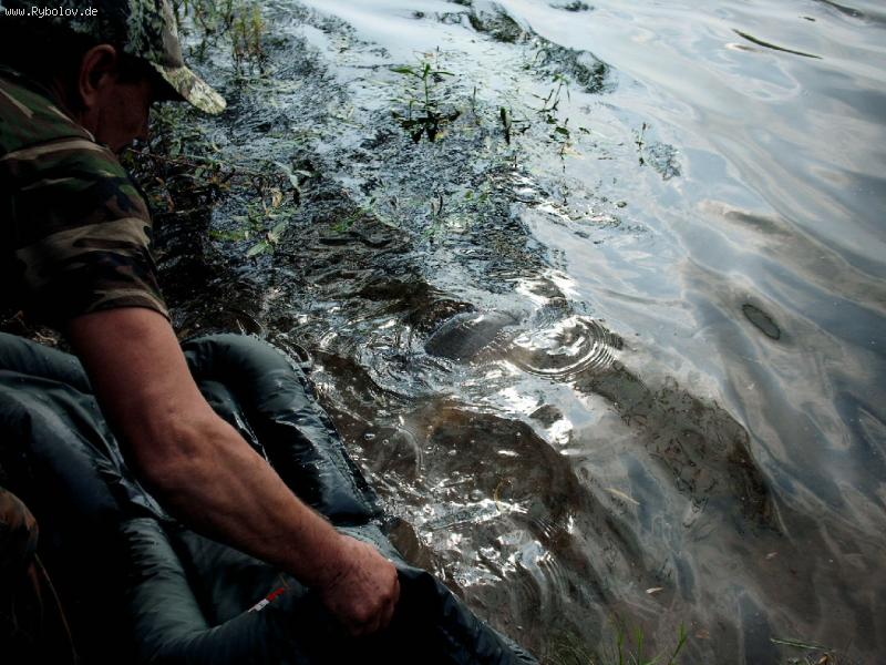 --Poschol! - ������� (����������)