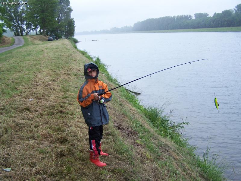 --������� ���� - ������� (����������)