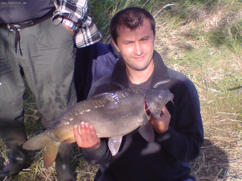 --Karp   68cm,  4,200 - ������� (����������)